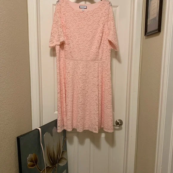 CHARTER CLUB pull over knee length dress, with scalloped cuff sleeves. (lace) - Picture 9 of 13